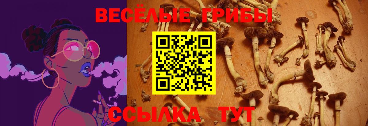 Галлюциногенные грибы прущие грибы Находка